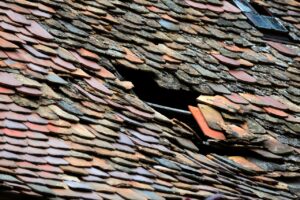 roof-5217069_1280