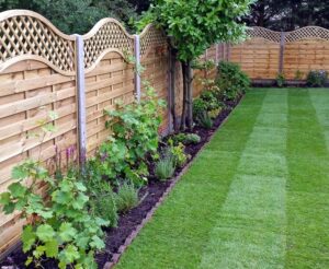 wooden-garden-fencing-ideas-pirsford-panel-with-covex-top